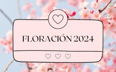 ¡La magia de la primavera ha llegado a Cieza! 