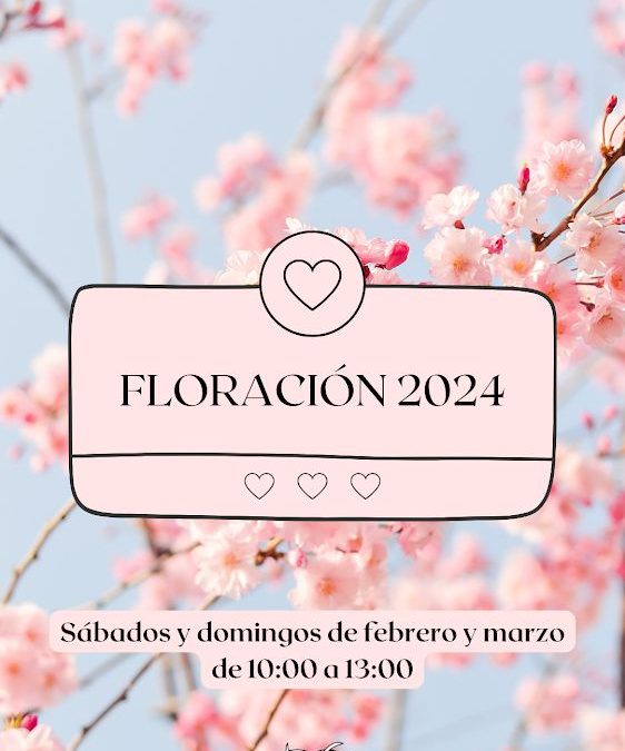 ¡La magia de la primavera ha llegado a Cieza! 